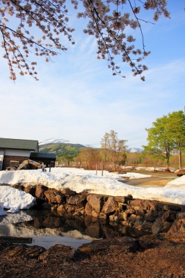 soku_16374.jpg :: 雪解け 池 シャベルカー 