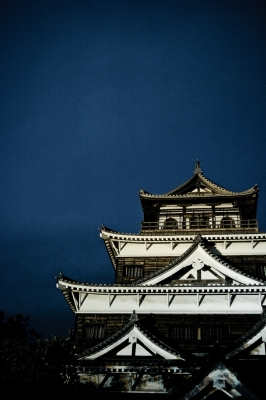 soku_16463.jpg :: 建築 建造物 城 広島城 夜景 