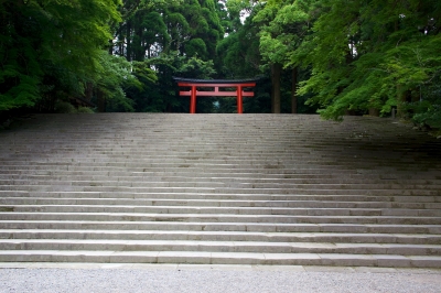 soku_16631.jpg :: 建築 建造物 神社 鳥居 