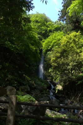 soku_16664.jpg :: 風景 自然 滝 水分 
