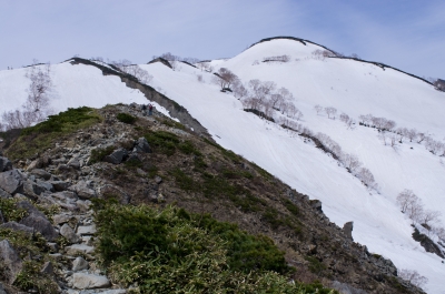 soku_16763.jpg :: 風景 自然 山 雪山 八方尾根 