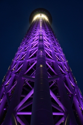 soku_16781.jpg :: 建築 建造物 塔 タワー 東京スカイツリー ライトアップ 夜景 