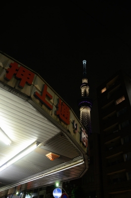 soku_16782.jpg :: 建築 建造物 塔 タワー 東京スカイツリー 夜景 