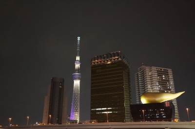 soku_16787.jpg :: 建築 建造物 塔 タワー 東京スカイツリー 夜景 