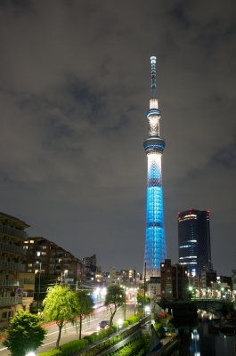 soku_16857.jpg :: 建築 建造物 塔 タワー 東京スカイツリー 下町の風景 ライトアップ 夜景 