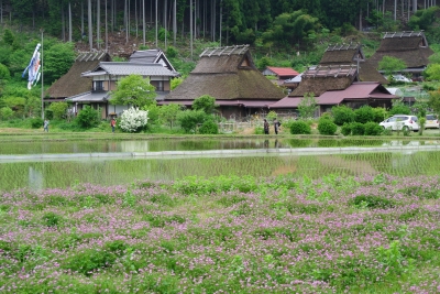 soku_16971.jpg :: 京都 美山 風景 街並み 郊外の風景 田園 藁葺き 
