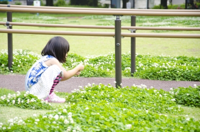 soku_16982.jpg :: 人物 子供 少女 女の子 草葉 