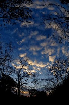 soku_17046.jpg :: 風景 自然 空 雲 魚眼レンズ フィッシュアイ 
