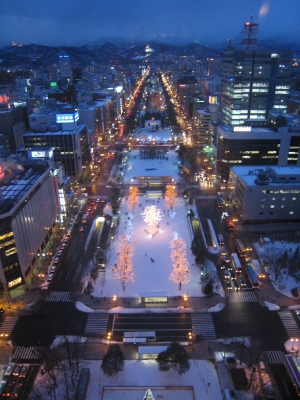 soku_17387.jpg :: 札幌 雪景色 大通り 色 光 イルミネーション 