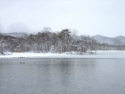 soku_17389.jpg :: 北海道 風景 自然 川 雪景色 