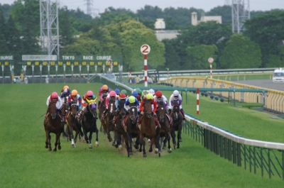 soku_17511.jpg :: スポーツ 馬 競馬 中央競馬 東京競馬 目黒記念 