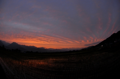 soku_17552.jpg :: 風景 自然 空 夕焼け 