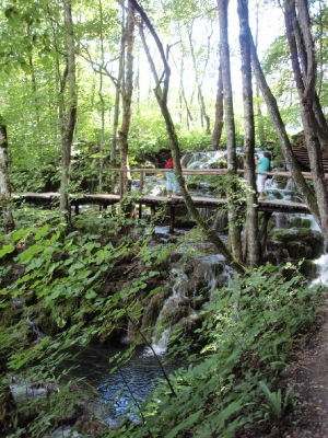 soku_17783.jpg :: クロアチア プリトヴィツェ 風景 自然 森林 外国 