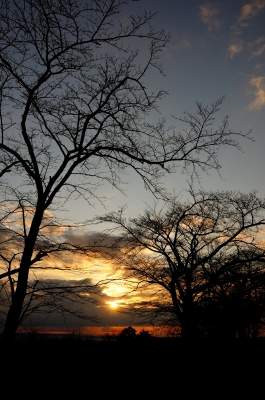 soku_17912.jpg :: 風景 自然 空 朝日 朝焼け 日の出 シルエット 