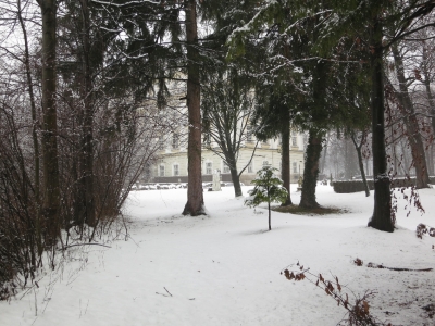 soku_17977.jpg :: オーストリア ザルツブルク 風景 自然 雪景色 外国 