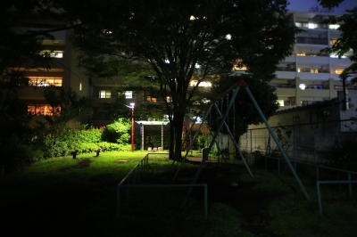 soku_18080.jpg :: 夜 公園 ぶらんこ 