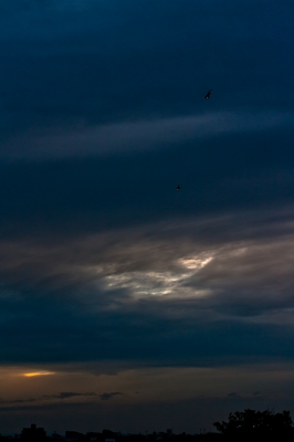 soku_18136.jpg :: 航空機 飛行機 回転翼 夕暮れ 空 雲 