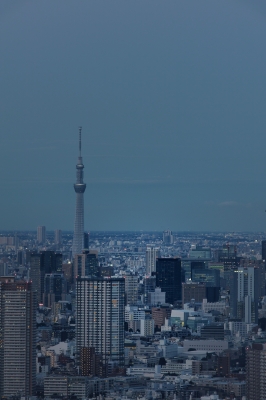 soku_18210.jpg :: 建築 建造物 塔 タワー 東京スカイツリー 