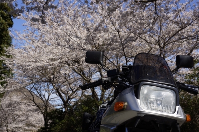 soku_18593.jpg :: 乗り物 交通 自動車 オートバイ バイク SUZUKI KATANA 