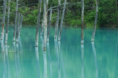 soku_18946.jpg :: 風景 自然 湖 青 色 光 反射 
