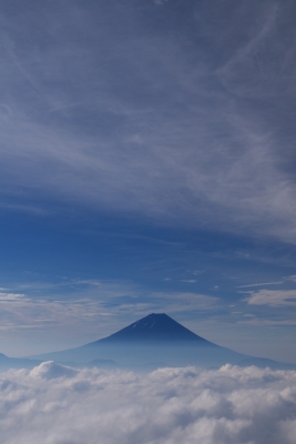 soku_19010.jpg :: 風景 自然 山 富士山 雲海 
