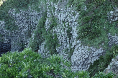 soku_19297.jpg :: DP2M 風景 自然 海 岩 柱状節理 