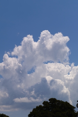 soku_19332.jpg :: 風景 自然 空 雲 入道雲 
