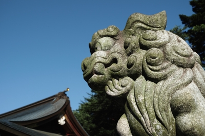 soku_19503.jpg :: SIGMA DP2Merrill 建築 建造物 神社 狛犬 