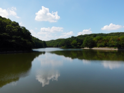 soku_19507.jpg :: PowerShotS95 風景 自然 水分 コンデジ埼玉 lock 湖 八町湖 空 雲 