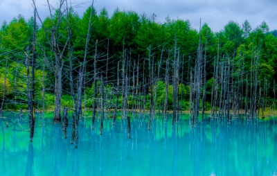 soku_19554.jpg :: 風景 自然 湖 エメラルドグリーン 
