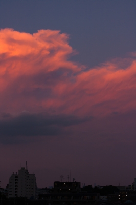 soku_19573.jpg :: 夕暮れ 夕焼け 空 雲 風景 