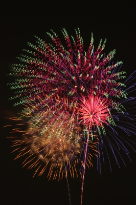 soku_19583.jpg :: 色 光 花火 初めて花火をとりました。 