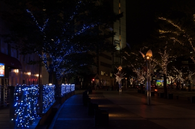 soku_19756.jpg :: 色 光 ライトアップ 風景 街並み 都市の風景 夜景 