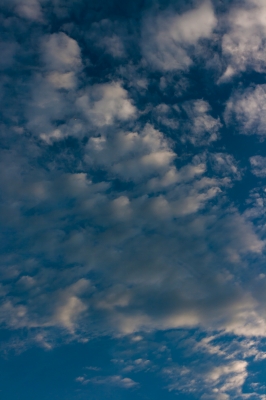 soku_19780.jpg :: 空 雲 風景 飛行機 