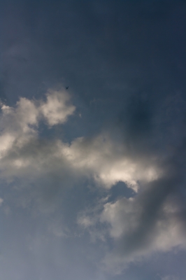 soku_19828.jpg :: 空 雲 風景 飛行機 