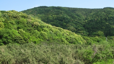 soku_19927.jpg :: 伊勢神宮 風景 自然 山 