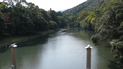soku_19938.jpg :: 伊勢神宮 風景 自然 川 