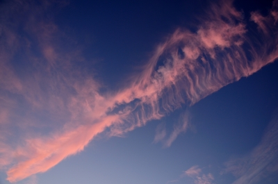 soku_19961.jpg :: 風景 自然 空 飛行機雲 夕焼け 