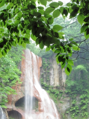 soku_19965.jpg :: PowerShotS95 風景 自然 水分 コンデジ埼玉 lock 滝 嫗仙の滝 葉 透過光 