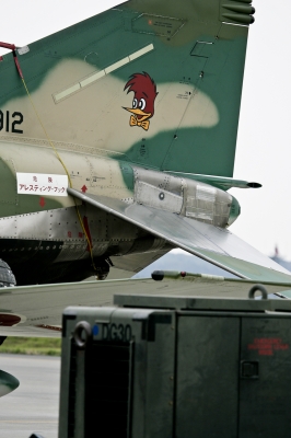 soku_20238.jpg :: 見敵必撮 第501飛行隊 航空自衛隊 偵察機 RF.4EJ ファントムII 