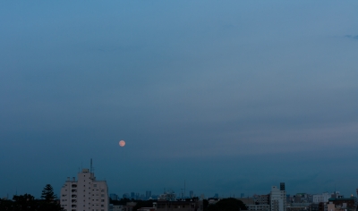 soku_20298.jpg :: 夕暮れ 月 風景 ブルームーン 