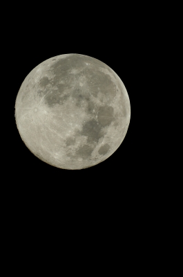 soku_20357.jpg :: 風景 自然 天体 月 満月 ブルームーン? 
