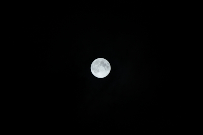 soku_20537.jpg :: 風景 自然 天体 月 満月 