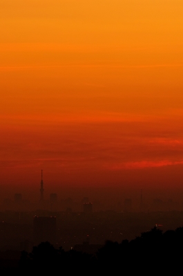 soku_20711.jpg :: 風景 自然 空 朝焼け 建築 建造物 塔 タワー 東京スカイツリー 東京タワー 
