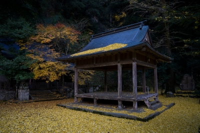 soku_20781.jpg :: 建築 建造物 神社 風景 自然 紅葉 