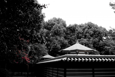 soku_20963.jpg :: 建築 建造物 神社仏閣 寺 御廟 ワンポイントカラー 