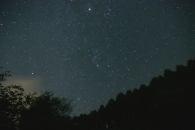 soku_21021.jpg :: オリオン座 鼓星 風景 自然 天体 星 