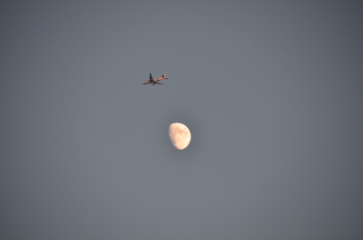 soku_21061.jpg :: 風景 自然 天体 月 乗り物 交通 航空機 飛行機 旅客機 