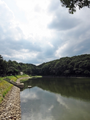 soku_21183.jpg :: PowerShotS95 風景 自然 水分 コンデジ埼玉 lock 湖 八丁湖 