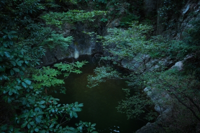 soku_21233.jpg :: 風景 自然 池 